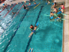 6-IMG_20221206_095217-001
